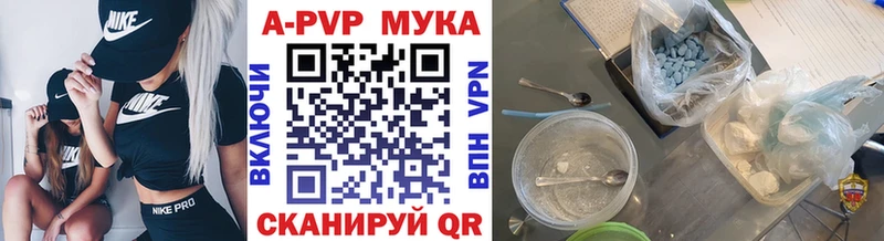 A PVP СК КРИС  Ковылкино 