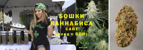 кокс Арсеньев