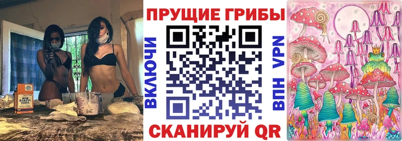 Псилоцибиновые грибы Psilocybe  Ковылкино 